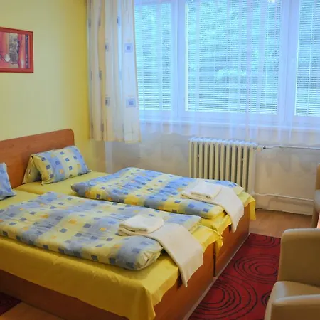 Hotel Komarov *