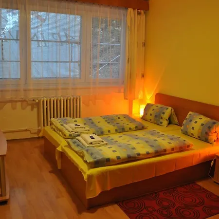 Hotel Komarov *